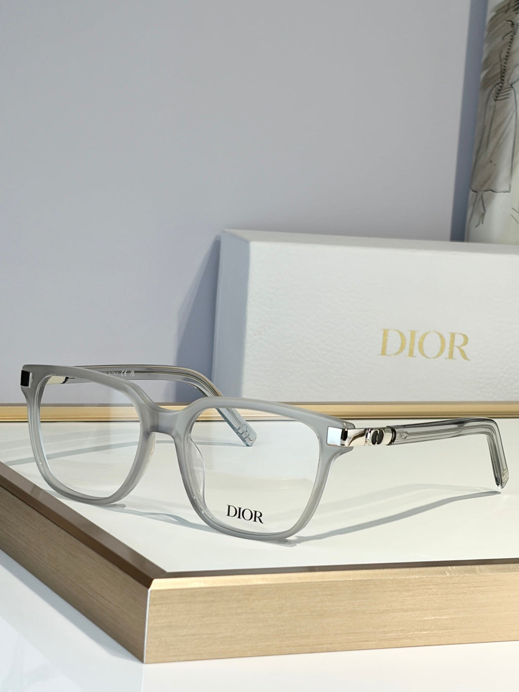 DIOR Sunglasses-CDS2L