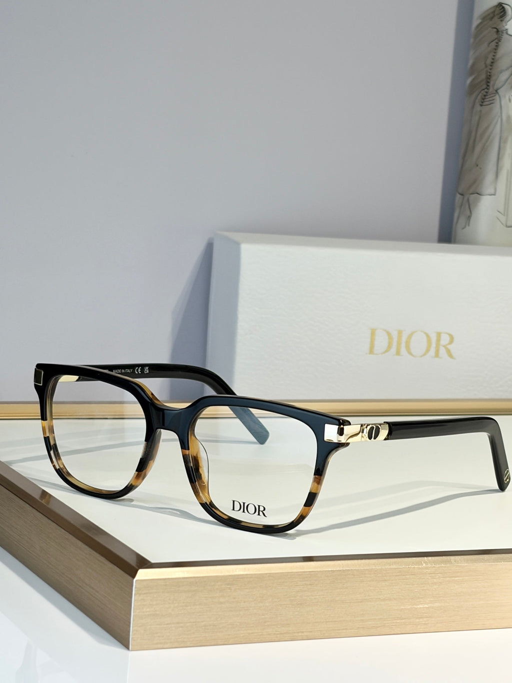 DIOR Sunglasses-CDS2L