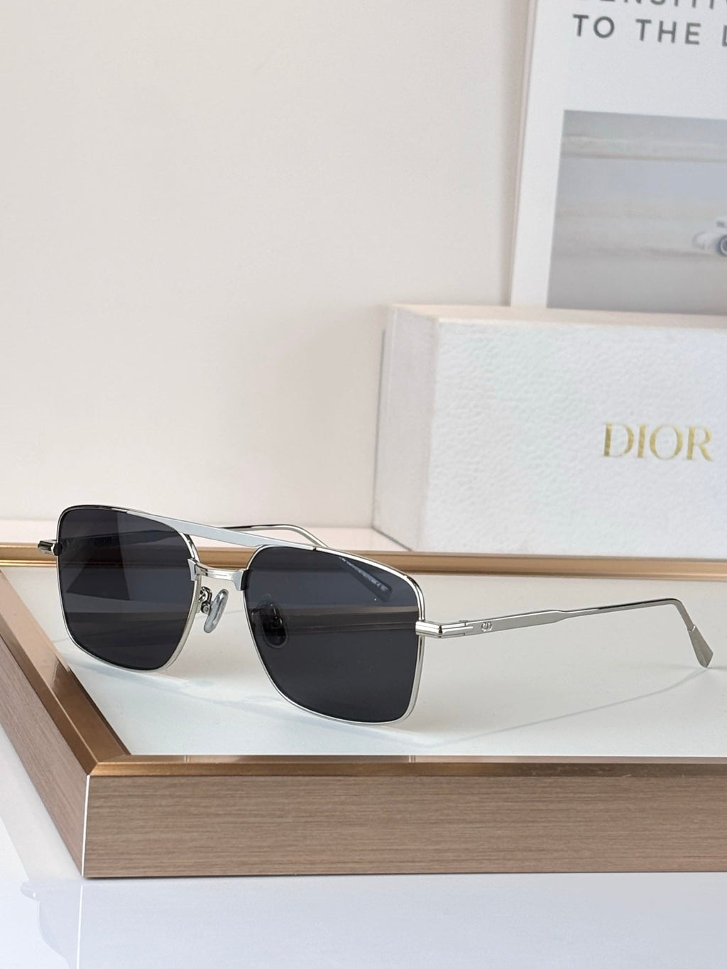 Dior Sunglasses-DIORBLACKSUIT s17U